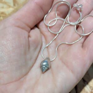 colgante caracola de plata